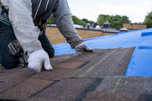 Best Roof Repair Services  in Midway, GA