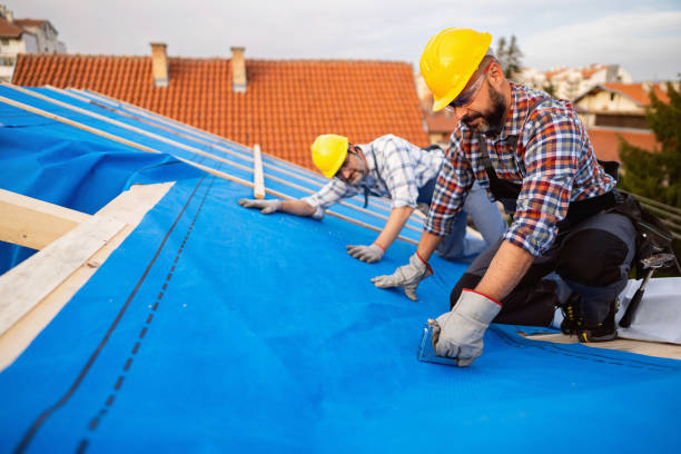 Best Roof Repair Services  in Midway, GA